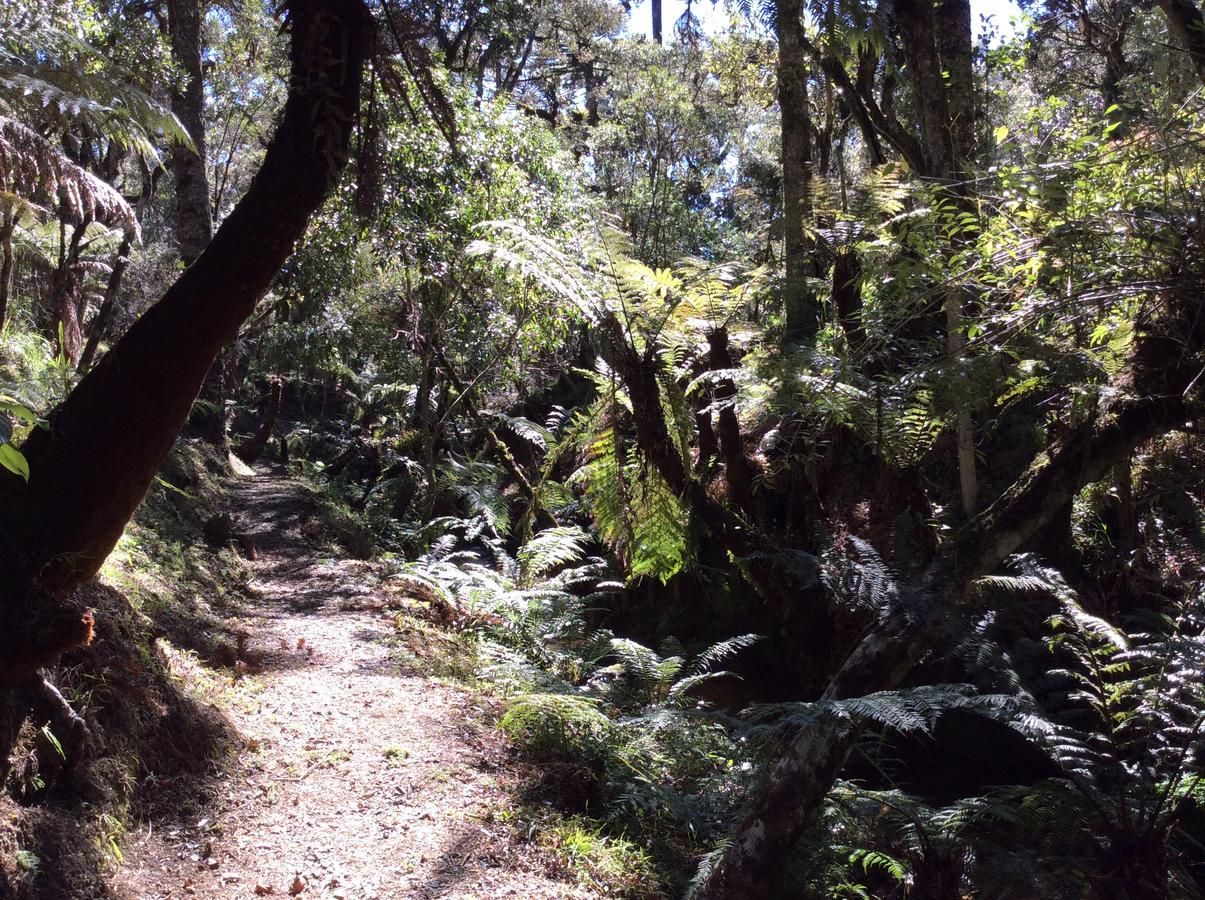 Chales Do Ferradura Campos do Jordão エクステリア 写真
