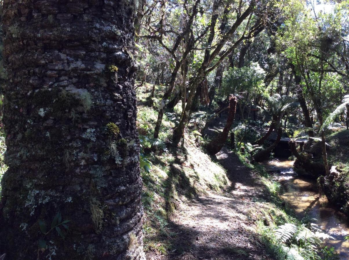 Chales Do Ferradura Campos do Jordão エクステリア 写真